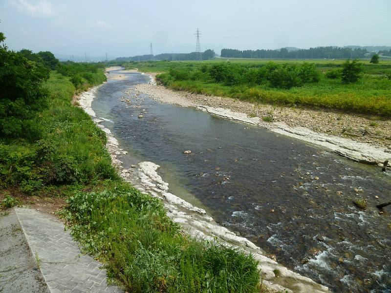 緑の草に囲まれて流れる丹生川